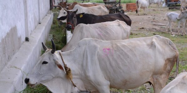 WhatsApp Image 2022-02-01 at 1.26.01 PM (16)